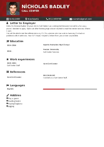Call Center resume example